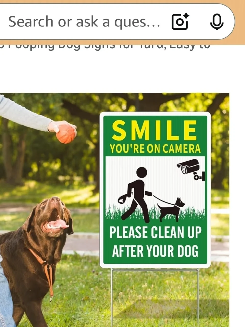 2 Pack Clean UP After Your Dog Signs, Funny Smile You're On Camera Yard Sign
